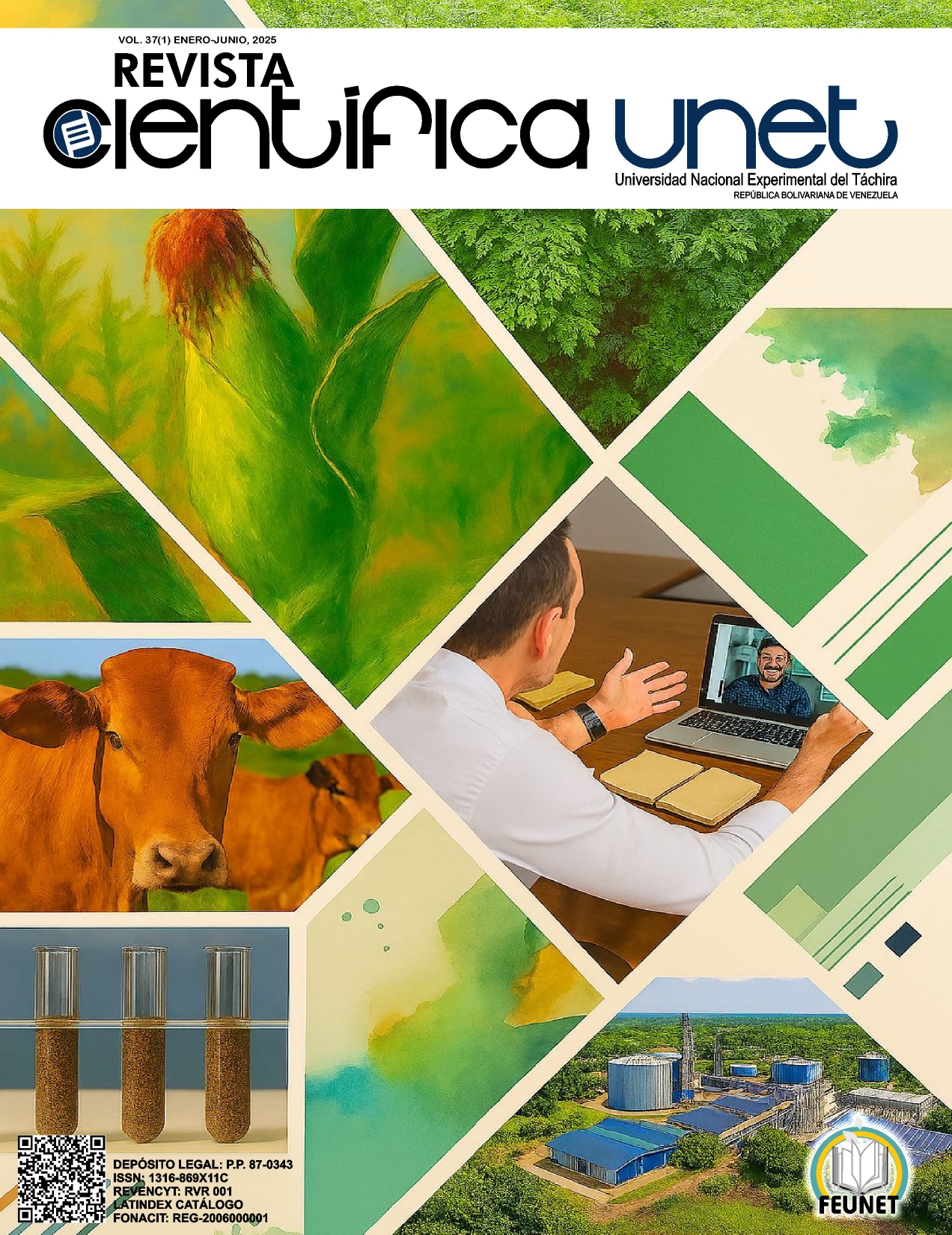 Imagen de portada vol 37-1